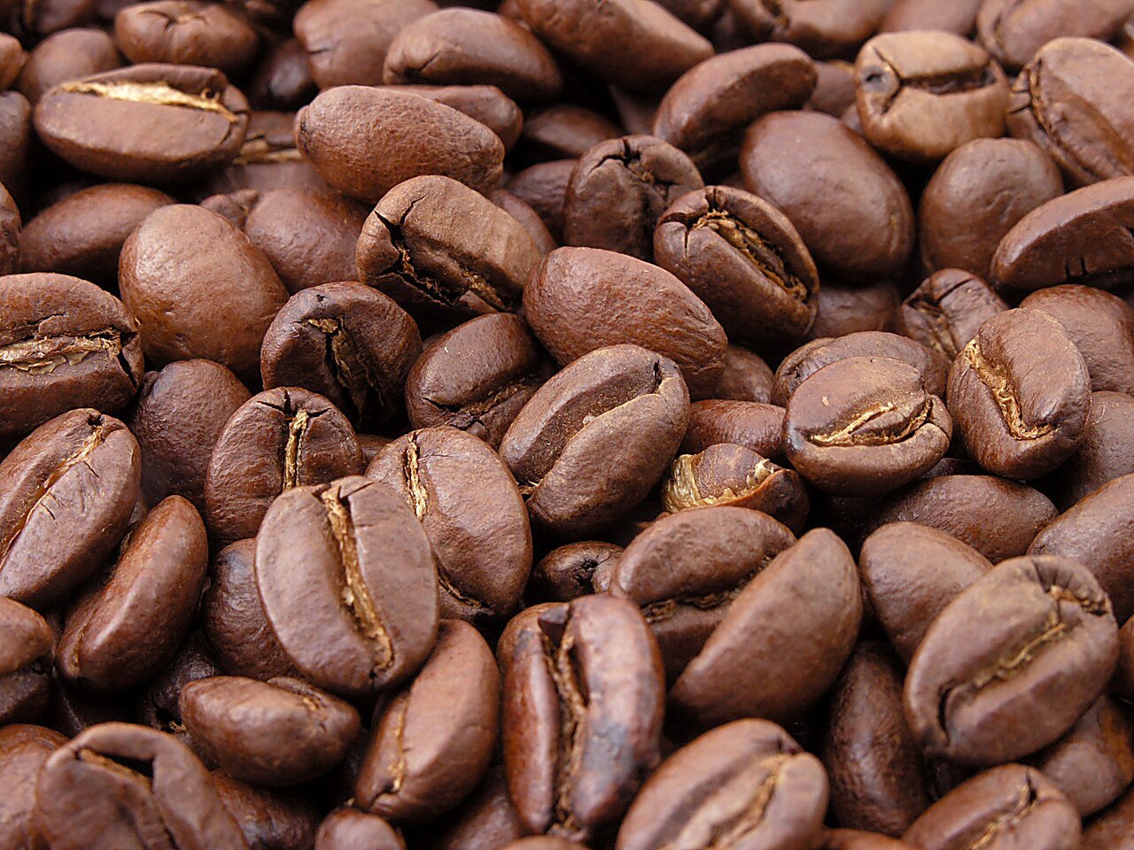 Coffee Beans - Dev Tandoor Industries